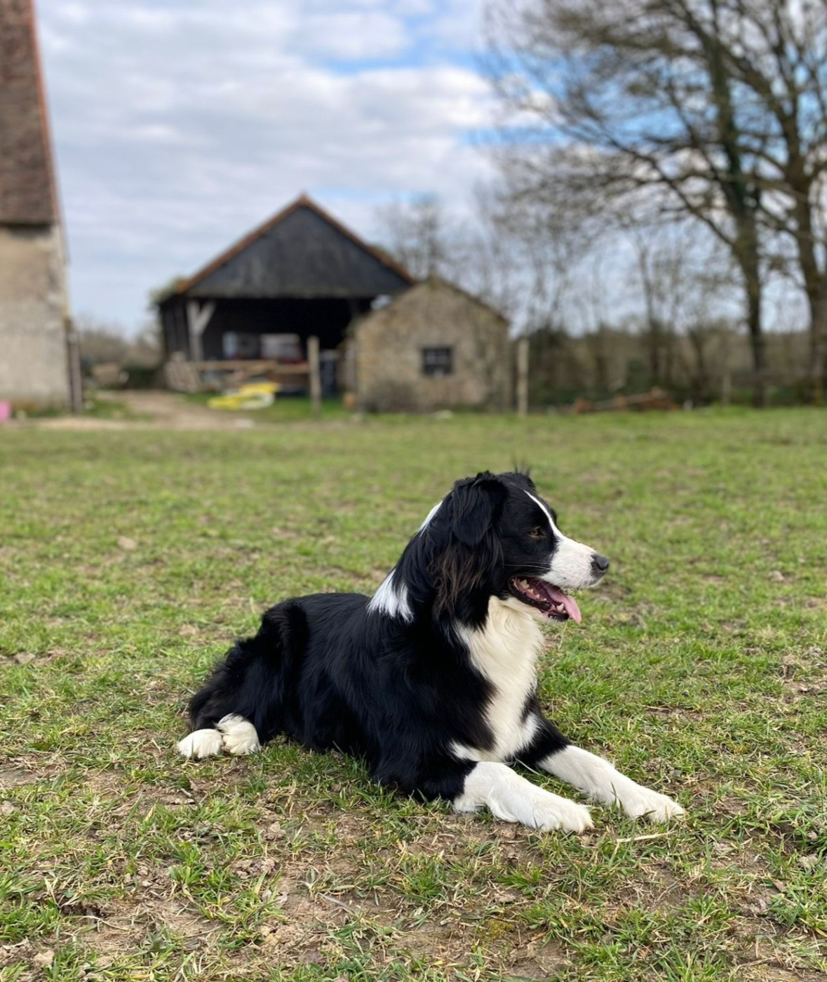 Ulcia Du Domaine Des Calices De Lumiere